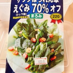 【トーホク】サラダほうれん草（まろみ）の種の情報