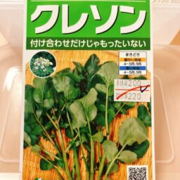 【サカタ】クレソン（くれくれ）の種の情報