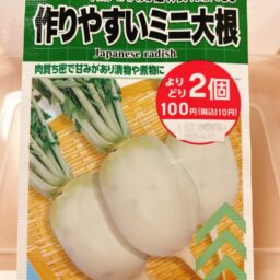 【ダイソー】ミニ大根の情報