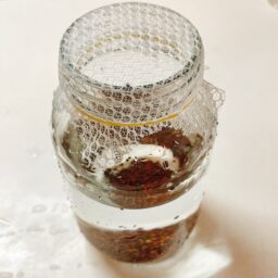 ブロッコリースプラウトを瓶で育てる