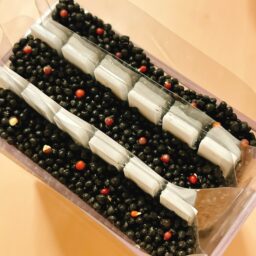 千宝菜の水耕栽培記録