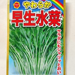 【アタリヤ】早生水菜（早生千筋京水菜）の種の情報