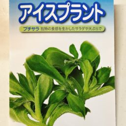 【武蔵野種苗園】プチサラ（アイスプラント）の種の情報