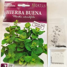 【HORTUS】モヒートミント（イエルバブエナ）の種の情報